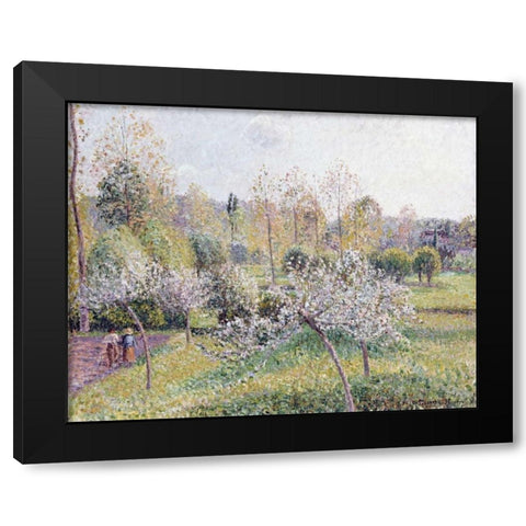 Apple Trees In Blossom, Eragny Black Modern Wood Framed Art Print with Double Matting by Pissarro, Camille