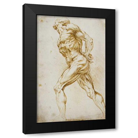 Anatomical Study: Nude Male Black Modern Wood Framed Art Print with Double Matting by Reubens, Peter Paul