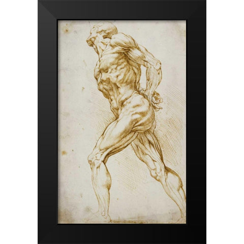 Anatomical Study: Nude Male Black Modern Wood Framed Art Print by Reubens, Peter Paul