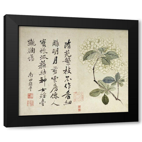 Hydrangeas Black Modern Wood Framed Art Print with Double Matting by Shouping, Yun