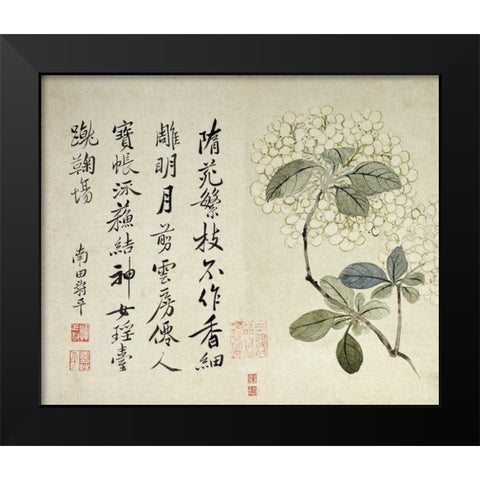 Hydrangeas Black Modern Wood Framed Art Print by Shouping, Yun