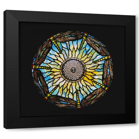 A Detail From a Rare Dragonfly Black Modern Wood Framed Art Print by Tiffany Studios