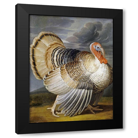 A Turkey In a Landscape Black Modern Wood Framed Art Print with Double Matting by Wenceslaus, Peter
