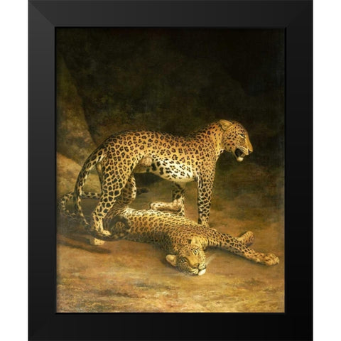 Two Leopards Lying In The Exeter Exchange Black Modern Wood Framed Art Print by Agasse, Jacques-Laurent