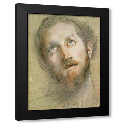 Study For The Head of Museumist Black Modern Wood Framed Art Print with Double Matting by Barocci, Frederico