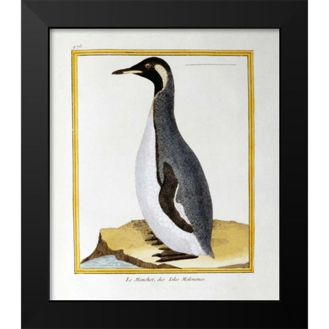 A Penguin, Falkland Islands Black Modern Wood Framed Art Print by Buffon, Georges-Louis Leclerc