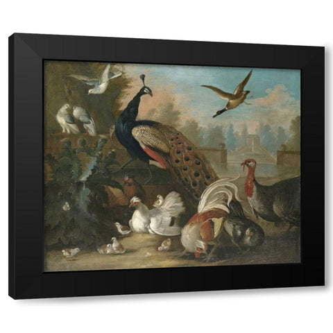 A Peacock and Other Birds Black Modern Wood Framed Art Print by Craddock, Marmaduke