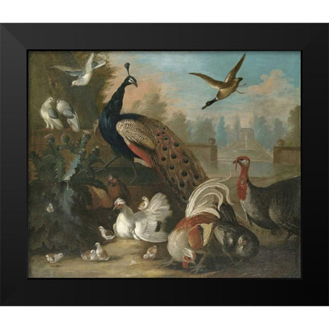 A Peacock and Other Birds Black Modern Wood Framed Art Print by Craddock, Marmaduke