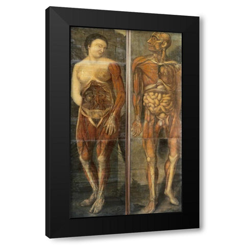 Anatomical Drawings of Male and Female Figures Black Modern Wood Framed Art Print by Dagoty, Jacques Fabian Gautier