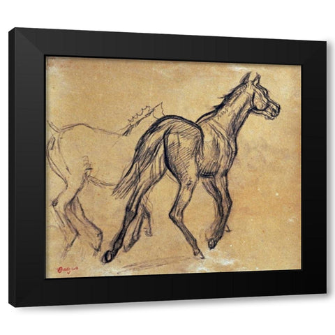 Horses Black Modern Wood Framed Art Print with Double Matting by Degas, Edgar