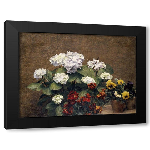 Hydrangeas, Wallflowers and Two Pots of Pansies Black Modern Wood Framed Art Print with Double Matting by Fantin-Latour, Henri