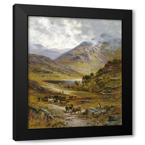 Longhorn Cattle Black Modern Wood Framed Art Print with Double Matting by Glendening, Alfred Augustus