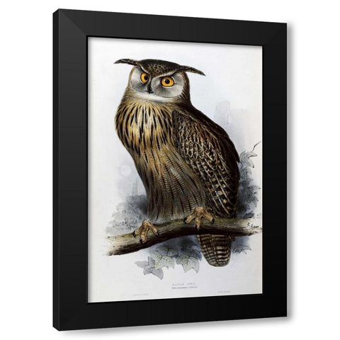 Eagle Owl Black Modern Wood Framed Art Print by Glover, John
