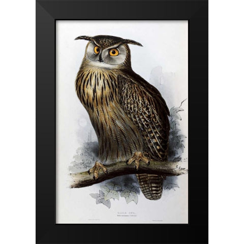 Eagle Owl Black Modern Wood Framed Art Print by Glover, John