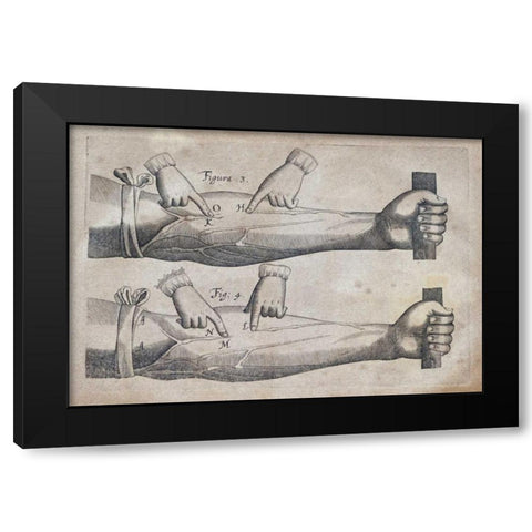 Discovery of The Circulation of Blood Black Modern Wood Framed Art Print with Double Matting by Harvey, William