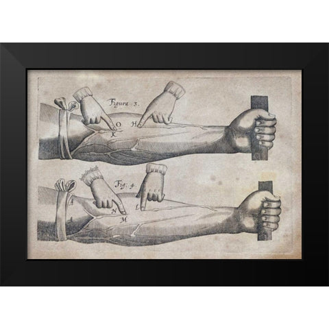 Discovery of The Circulation of Blood Black Modern Wood Framed Art Print by Harvey, William