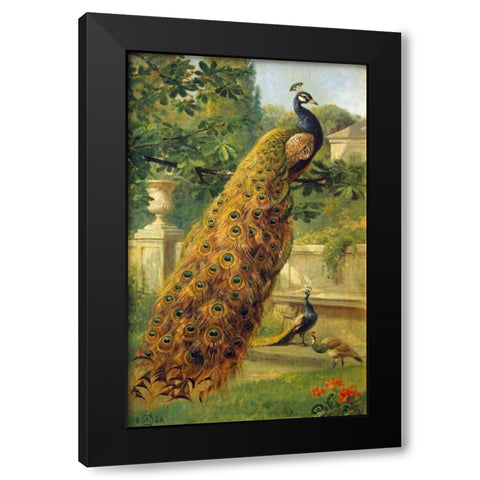Peacocks In The Park Black Modern Wood Framed Art Print by Hermansen, Olaf August
