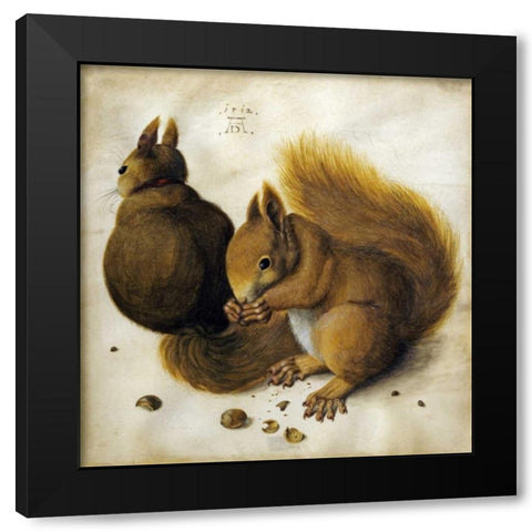 Two Squirrels, One Eating a Hazelnut Black Modern Wood Framed Art Print by Durer, Albrecht