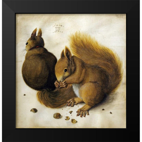 Two Squirrels, One Eating a Hazelnut Black Modern Wood Framed Art Print by Durer, Albrecht