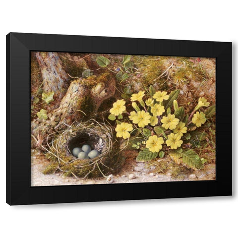 Still Life With a Birds Nest Black Modern Wood Framed Art Print with Double Matting by Hough, William B.