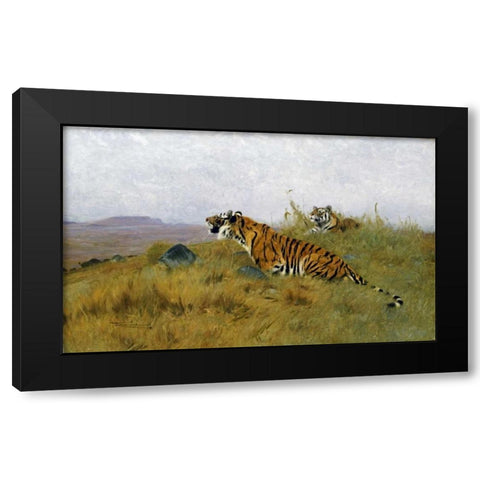Tigers Stalking Their Prey Black Modern Wood Framed Art Print by Kuhnert, Wilhelm