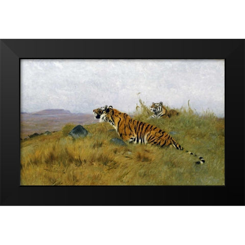 Tigers Stalking Their Prey Black Modern Wood Framed Art Print by Kuhnert, Wilhelm