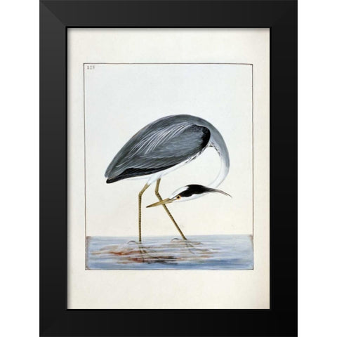 Heron Black Modern Wood Framed Art Print by Lewin, William