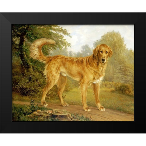 A Golden Retriever On a Path Black Modern Wood Framed Art Print by Lytzen, Niels Aagaard