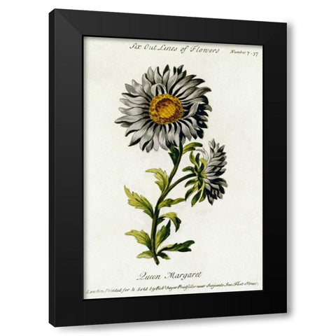 Queen Margaret Black Modern Wood Framed Art Print by Parkinson, Thomas