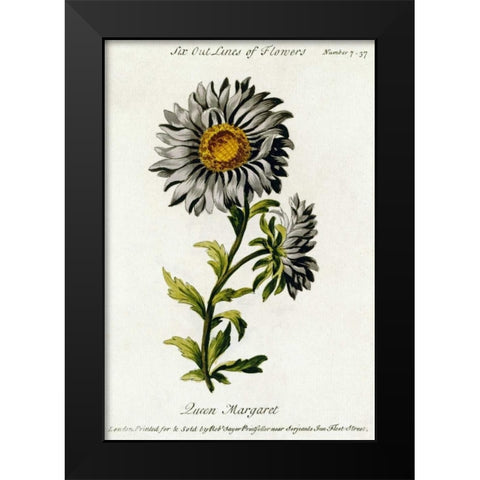 Queen Margaret Black Modern Wood Framed Art Print by Parkinson, Thomas