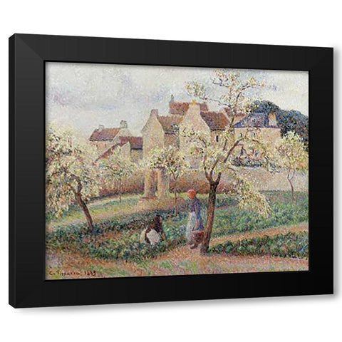 Plum Trees In Blossom Black Modern Wood Framed Art Print by Pissarro, Camille