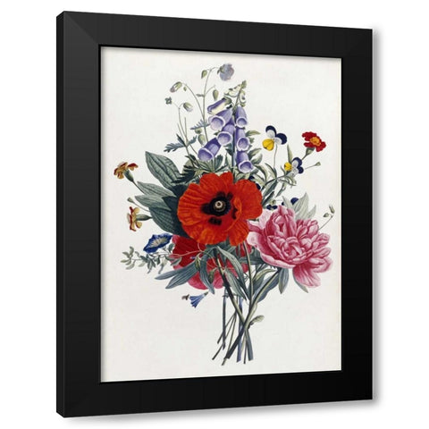 Collection Des Fleurs Et Des Fruits Black Modern Wood Framed Art Print by Prevost, Jean-Louis