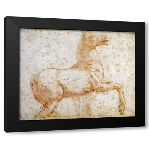 Study of One of The Quirinal Marble Horses Black Modern Wood Framed Art Print by Raphael