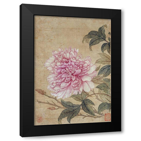 Peony Black Modern Wood Framed Art Print with Double Matting by Shouping, Yun