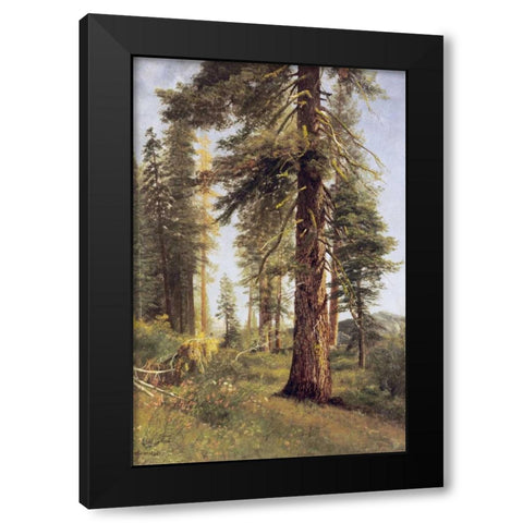 California Redwoods Black Modern Wood Framed Art Print with Double Matting by Bierstadt, Albert