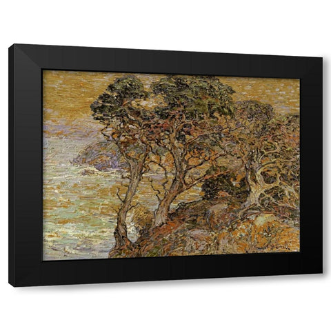 Point Lobos, Monterey Coast Black Modern Wood Framed Art Print by Bischoff, Franz