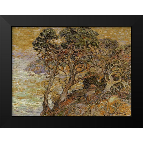 Point Lobos, Monterey Coast Black Modern Wood Framed Art Print by Bischoff, Franz