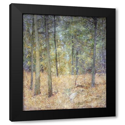 A Light In The Forest Black Modern Wood Framed Art Print with Double Matting by Carlsen, Soren Emil