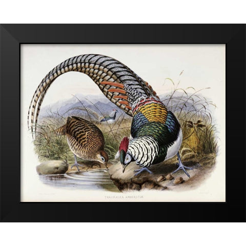 Family of Pheasants Black Modern Wood Framed Art Print by Elliot, Daniel Giraud