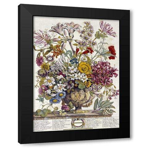 October - Twelve Months of Flowers Black Modern Wood Framed Art Print by Furber, Robert