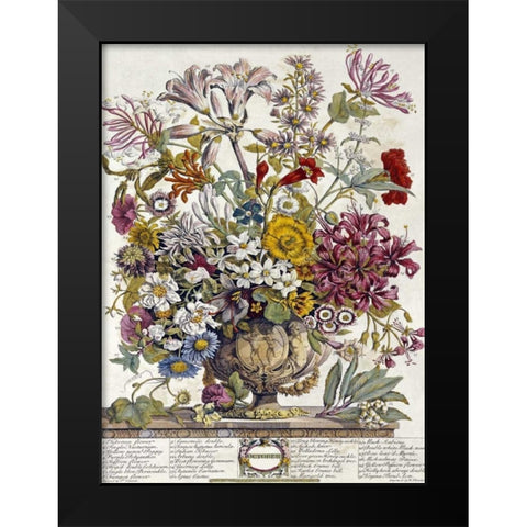 October - Twelve Months of Flowers Black Modern Wood Framed Art Print by Furber, Robert