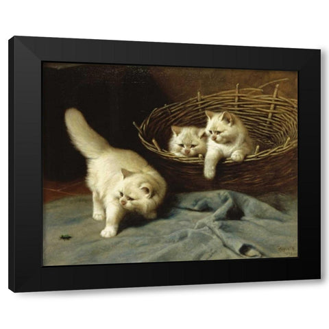 White Angora Kittens With a Beetle Black Modern Wood Framed Art Print by Heyer, Arthur