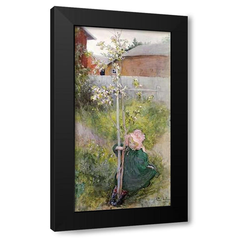 Appleblossom Black Modern Wood Framed Art Print with Double Matting by Larsson, Carl