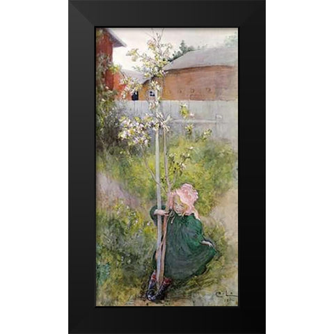 Appleblossom Black Modern Wood Framed Art Print by Larsson, Carl