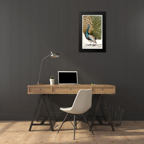 Male Peacock In Full Display Black Modern Wood Framed Art Print by Leonhard, Johann
