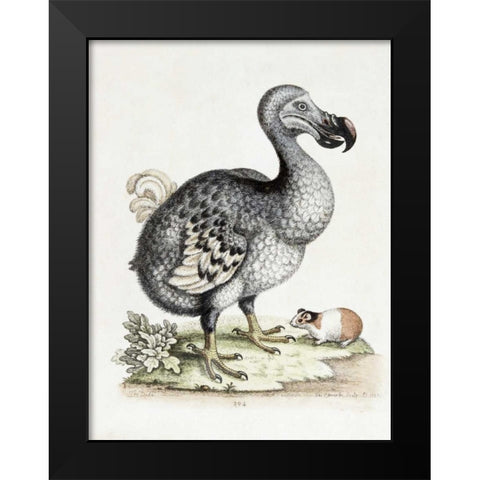 The Dodo Black Modern Wood Framed Art Print by Nodder, Frederick P.
