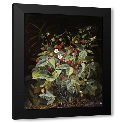 Wild Strawberries Black Modern Wood Framed Art Print with Double Matting by Ottesen, Otto Diderich