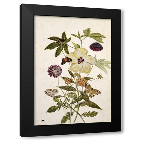 Milkweed, Poppy and Hibiscus Black Modern Wood Framed Art Print with Double Matting by Robins, Thomas Jr.