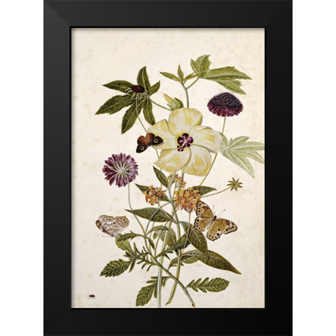 Milkweed, Poppy and Hibiscus Black Modern Wood Framed Art Print by Robins, Thomas Jr.