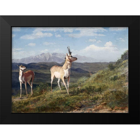 Antelope Black Modern Wood Framed Art Print by Bierstadt, Albert